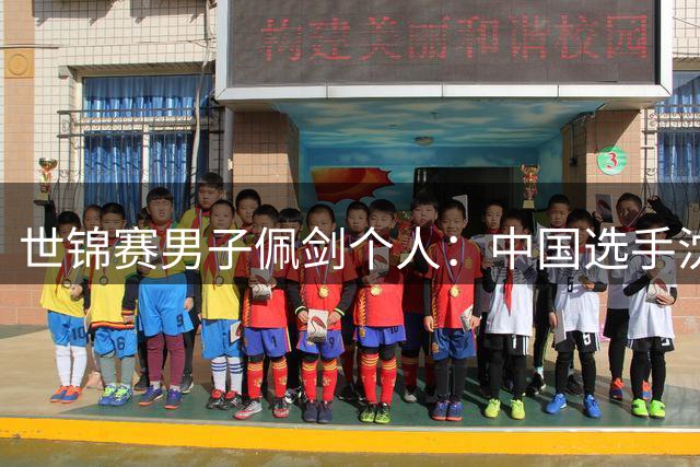 世锦赛男子佩剑个人：中国选手沈晨鹏无缘八强-国际在线