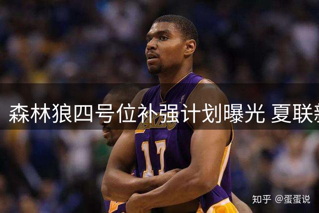 森林狼四号位补强计划曝光 夏联新秀或成关键拼图