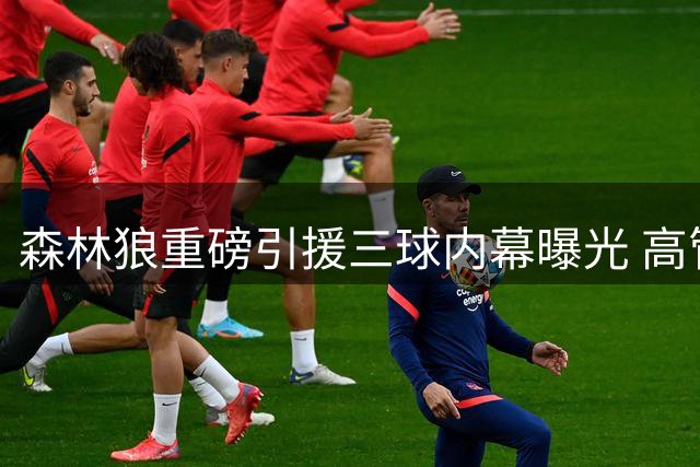 森林狼重磅引援三球内幕曝光 高管揭秘补强关键拼图