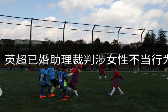 英超已婚助理裁判涉女性不当行为遭停职调查