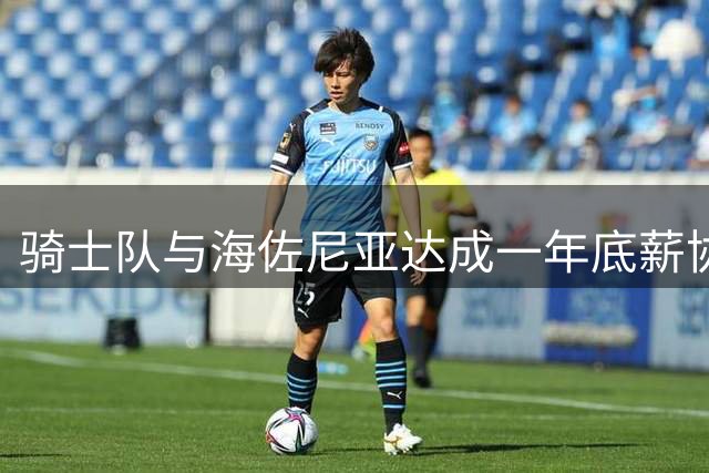 骑士队与海佐尼亚达成一年底薪协议 签约流程即将完成