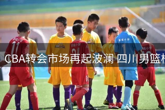 CBA转会市场再起波澜 四川男篮榜眼杜智博转投广州龙狮